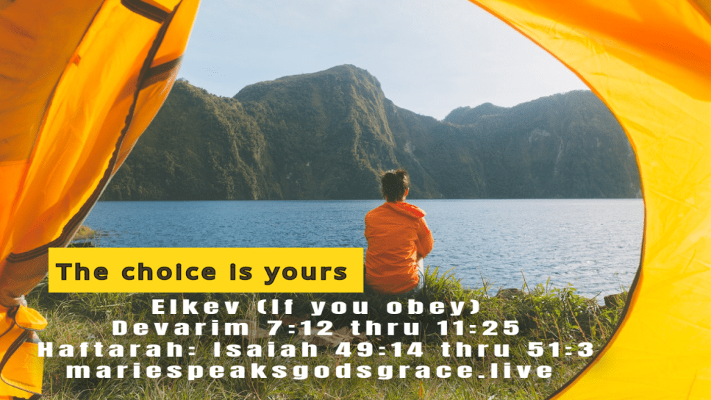 The Choice is yours…. Eikev (If you obey)Devarim 7:12 thru 11:25, Haftarah: Isaiah 49: 14 thru&nbsp;51:3