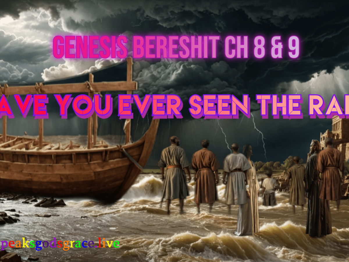 Bereshit Genesis ch 8 & ch 9: Have you ever seen the rain?
