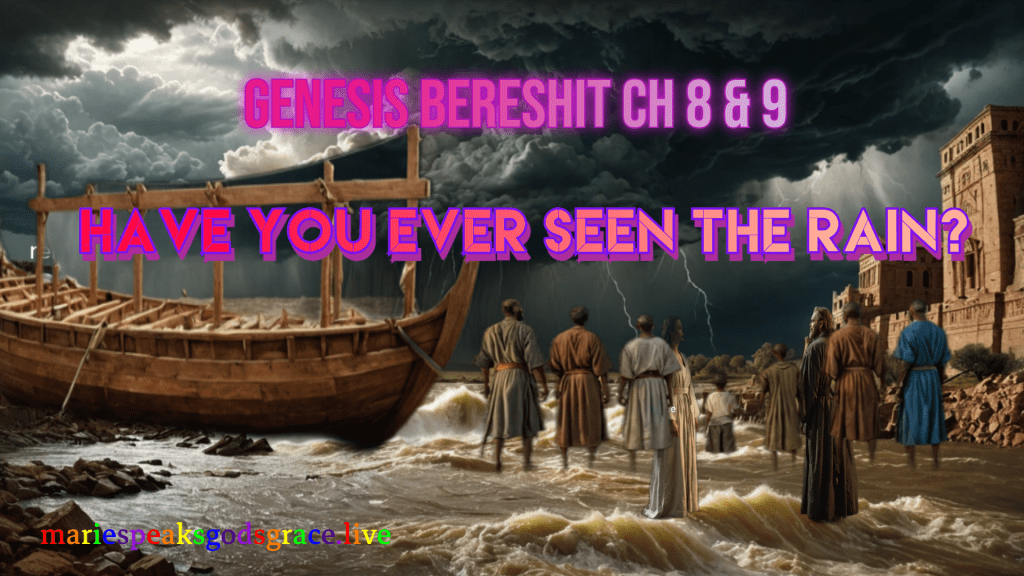 Bereshit Genesis ch 8 & ch 9: Have you ever seen the&nbsp;rain?