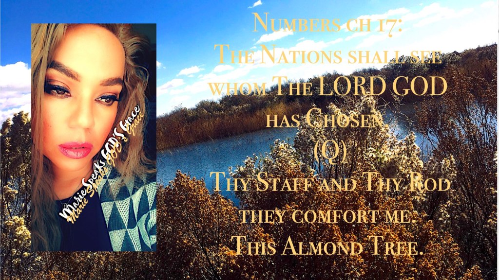 Numbers ch 17: The Nations shall see whom The LORD GOD has Chosen. (Q) Thy Staff and Thy Rod they comfort me. This Almond&nbsp;Tree.
