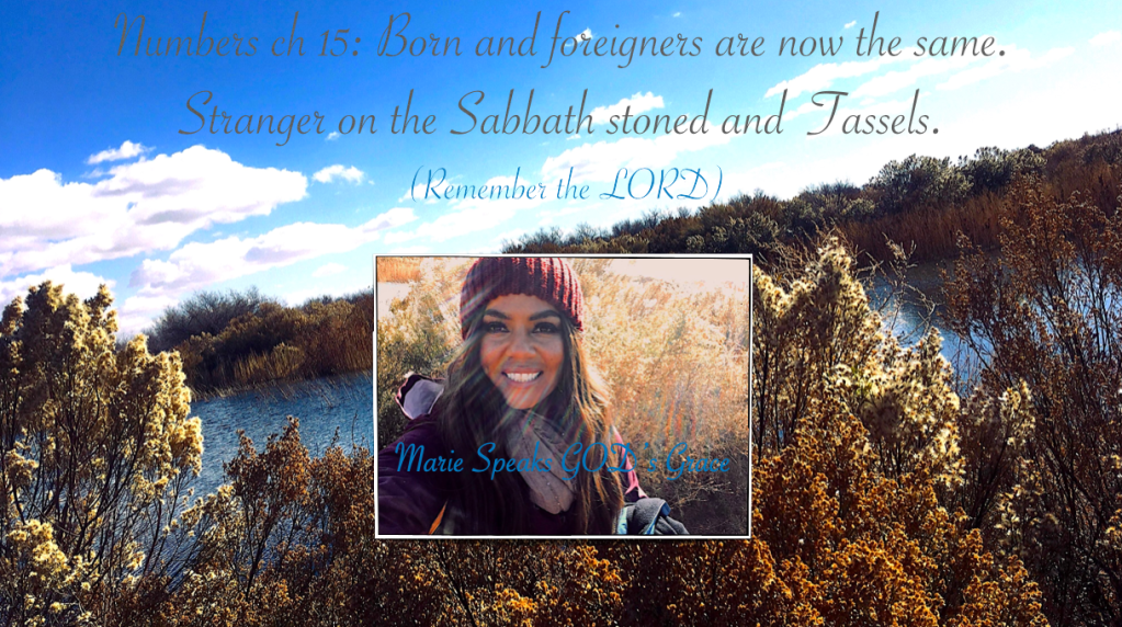 Numbers ch 15: Born and foreigners are now the same. Stranger on the Sabbath stoned and Tassels.(Remember the&nbsp;LORD)