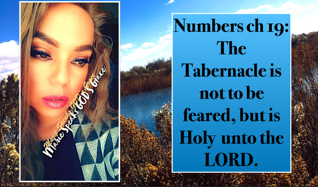 Numbers ch 19: The Tabernacle is not to be feared, but is Holy unto the&nbsp;LORD