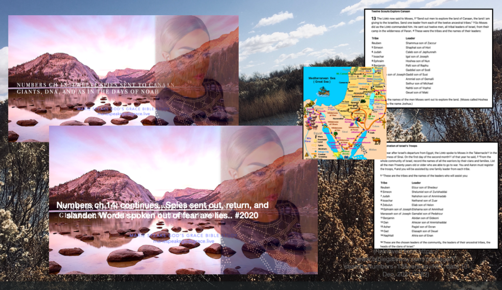 Numbers ch 14: continues…Spies sent out, return, and slander. Words spoken out of fear are lies..&nbsp;#2020