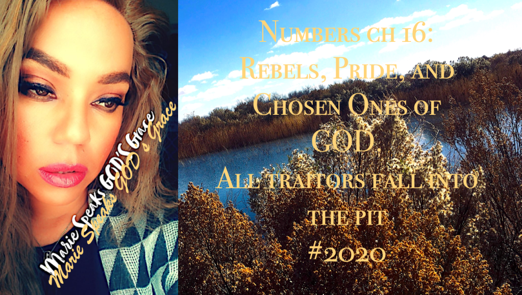 Numbers ch 16: Rebels, Pride, and Chosen Ones of GOD.All traitors fall into the pit&nbsp;.
