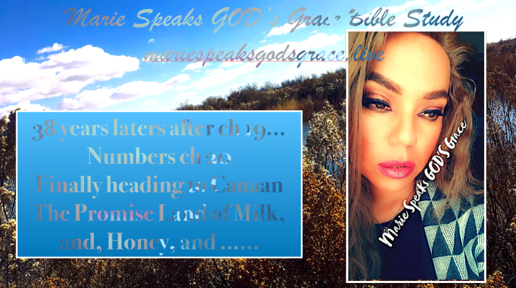 38 years laters after ch 19… Numbers ch 20 Finally heading to Cana The Promise Land of Milk, and, Honey, and&nbsp;……