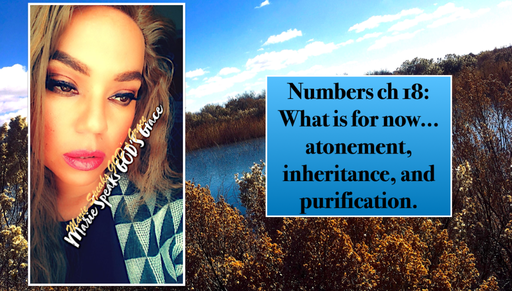 Numbers ch 18: What is for now… atonement, inheritance, and&nbsp;purification.